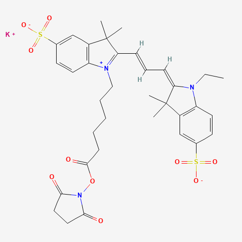 Cyanine 3 Monofunctional Hexanoic Acid Dye,Succinimidyl Ester,Potassium Salt 85% (CAS: 945529-56-6) - Related Chemical Product