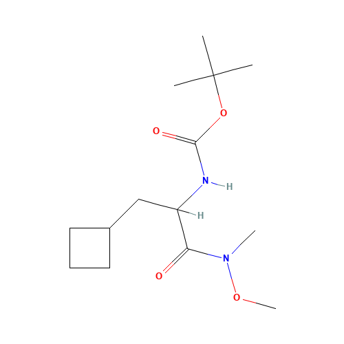 N-[1-(Cyclobutylmethyl)-2-(methoxymethylamino)-2-oxoethyl]-carbamic Acid 1,1-Dimethylethyl Ester (CAS: 394735-18-3) - Related Chemical Product