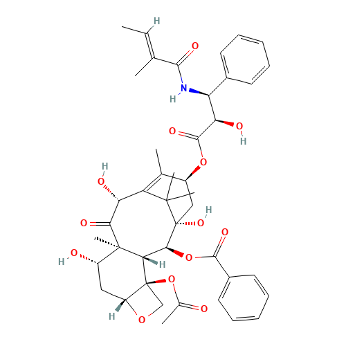 10-Deacetyl Cephalomannine (CAS: 76429-85-1) - Related Chemical Product