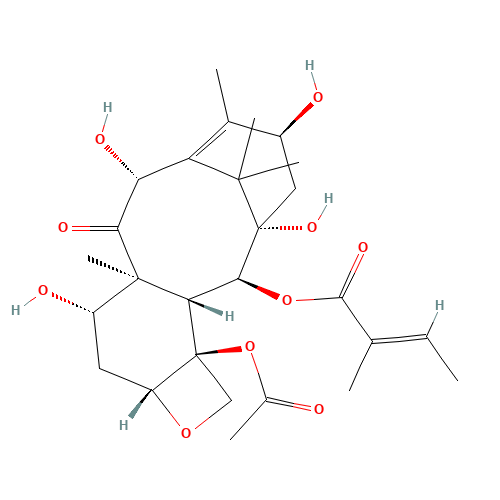 2-Debenzoyl-2-tigloyl 10-Deacetyl Baccatin III (CAS: 171926-87-7) - Related Chemical Product