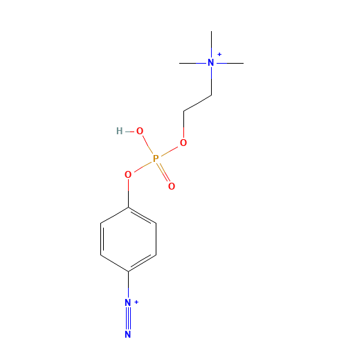 p-Diazonium Phenylphosphorylcholine (CAS: 35697-91-7) - Related Chemical Product