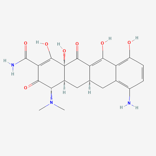 7-Didemethyl Minocycline (CAS: 5679-00-5) - Related Chemical Product