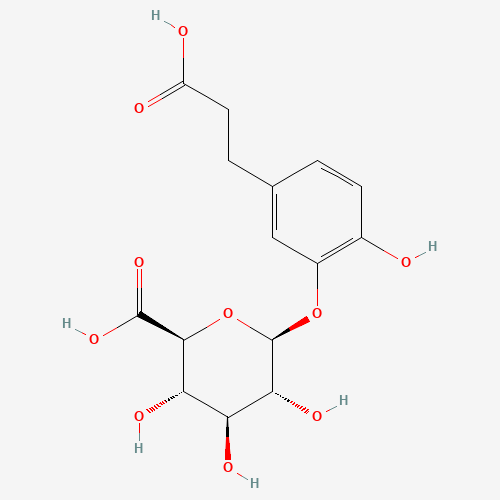 Dihydro Caffeic Acid 3-O-b-D-Glucuronide (CAS: 1187945-71-6) - Related Chemical Product