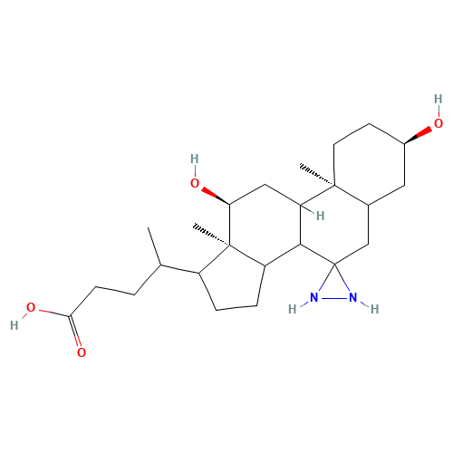 3a,12-a-Dihydroxy-7-diazirdinecholanic Acid (CAS: 86933-63-3) - Related Chemical Product