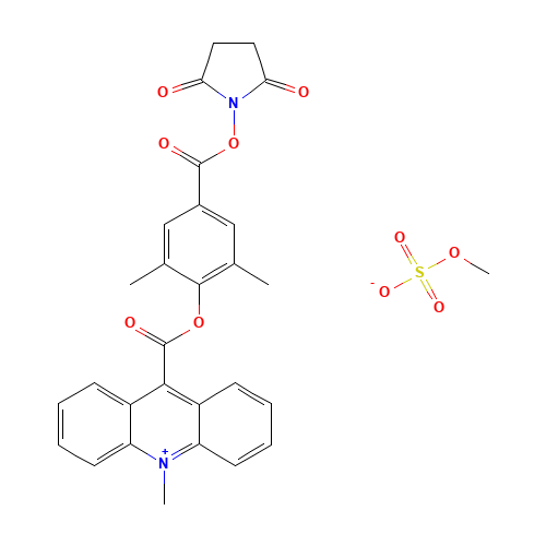 2',6'-Dimethylcarbonylphenyl 10-Methyl-9-acridinecarboxylate 4'-NHS Ester Methylsulfate (CAS: 115853-74-2) - Related Chemical Product