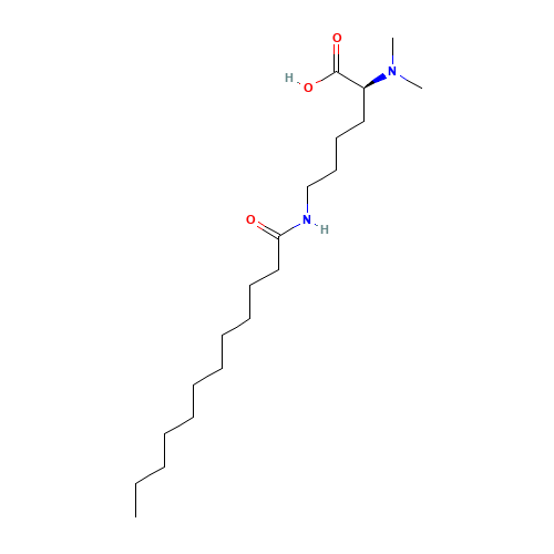 N2,N2-Dimethyl-N6-(1-oxododecyl)-L-Lysine (CAS: 38079-57-1) - Related Chemical Product