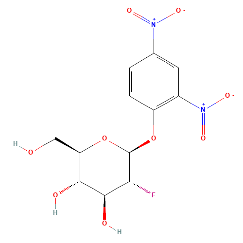 2,4-Dinitrophenyl 2-Deoxy-2-fluoro-b-D-glucopyranoside (CAS: 111495-86-4) - Related Chemical Product