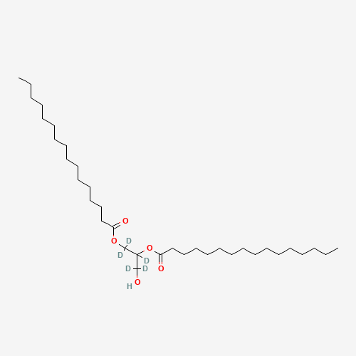 rac-1,2-Dipalmitoylglycerol-d5 (CAS: 944709-32-4) - Related Chemical Product