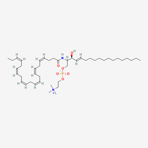 N-Docosahexaenoic Sphingomyelin (CAS: 218608-41-4) - Related Chemical Product