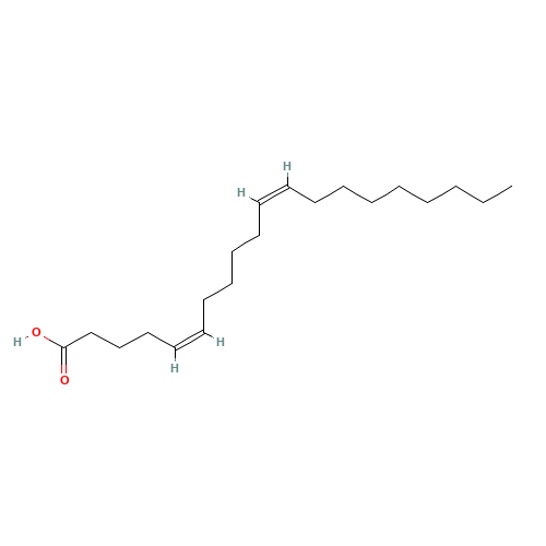 (Z,Z)-5,11-Eicosadienoic Acid (CAS: 70363-48-3) - Related Chemical Product