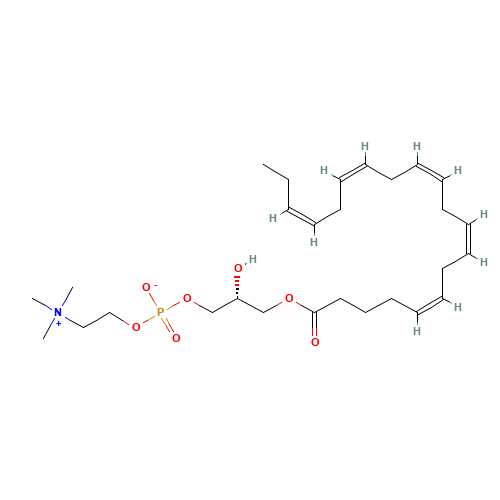 1-Eicosapentaenoyl-sn-glycerol-3-phosphocholine (CAS: 162440-04-2) - Related Chemical Product