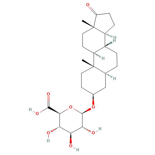 Epiandrosterone b-D-Glucuronide (CAS: 4271-00-5) - Related Chemical Product
