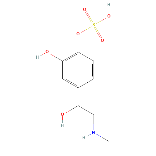 Epinephrine Sulfate (CAS: 21093-18-5) - Related Chemical Product