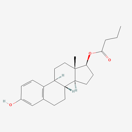 Estradiol 17-Butyrate (CAS: 18069-79-9) - Related Chemical Product