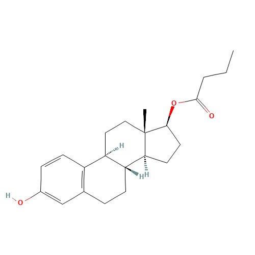 Estradiol 17-Butyrate (CAS: 18069-79-9) - Related Chemical Product