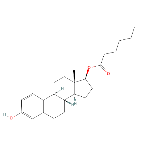 Estradiol 17-Hexanoate (CAS: 71764-18-6) - Related Chemical Product