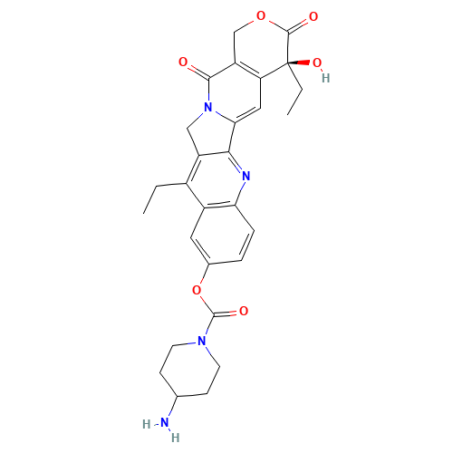 7-Ethyl-10-(4-amino-1-piperidino)carbonyloxycamptothecin (CAS: 185304-42-1) - Related Chemical Product