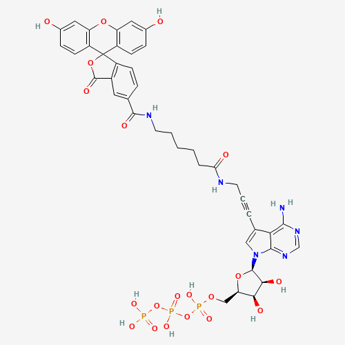 Fluorescein Alkynylamino-ATP (CAS: 185971-89-5) - Related Chemical Product