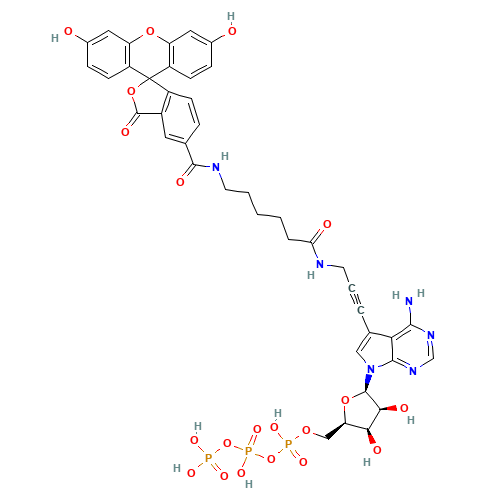 Fluorescein Alkynylamino-ATP (CAS: 185971-89-5) - Related Chemical Product