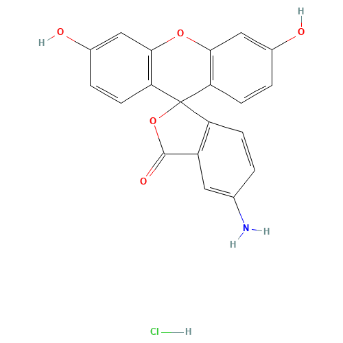 Fluoresceinamine Hydrochloride Isomer 1 (CAS: 53360-53-5) - Related Chemical Product