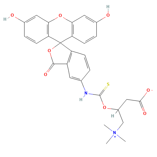N-(5-Fluoresceinyl)-L-carnitine-O-thiocarbamate (CAS: 1258239-73-4) - Related Chemical Product
