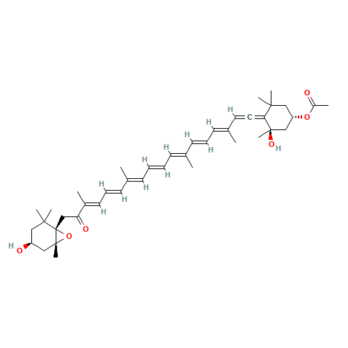Fucoxanthin (CAS: 3351-86-8) - Related Chemical Product