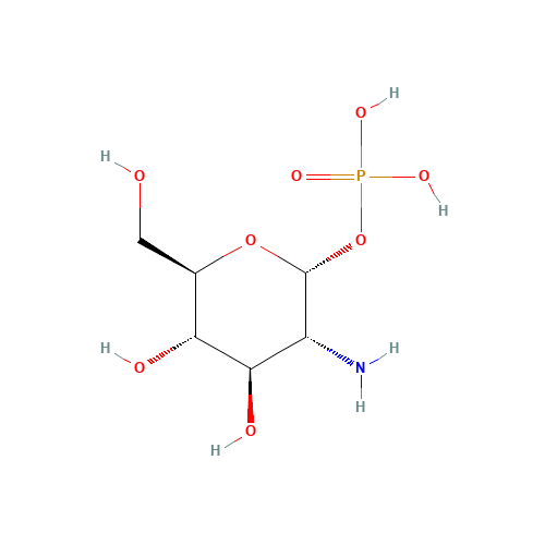 a-D-Glucosamine 1-Phosphate (CAS: 2152-75-2) - Related Chemical Product