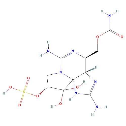 Gonyautoxin 2 (CAS: 60508-89-6) - Related Chemical Product