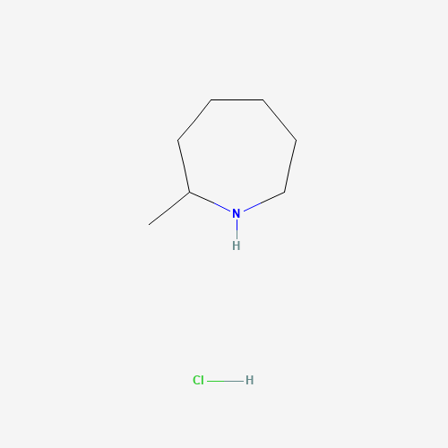 Hexahydro-2-methyl-1H-azepine Hydrochloride (CAS: 30796-90-8) - Related Chemical Product