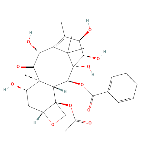 14b-Hydroxy 10-Deacetyl Baccatin III (CAS: 145533-34-2) - Related Chemical Product