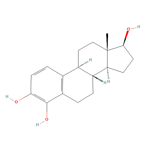 4-Hydroxy-17b-estradiol (CAS: 5976-61-4) - Related Chemical Product