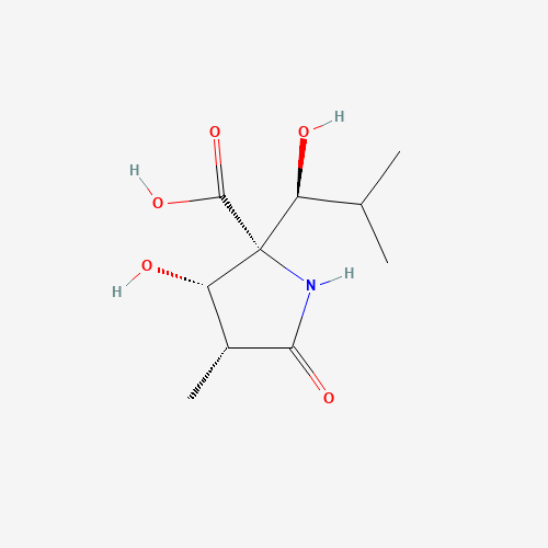 (3R,4S,5R)-4-Hydroxy-5-[(1S)-1-hydroxy-2-methylpropyl]-3-methyl-2-pyrrolidinone-5-carboxylic Acid (CAS: 145451-97-4) - Related Chemical Product