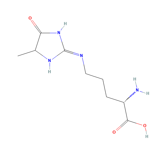 N5-(5-Hydro-5-methyl-4-imidazolon-2-yl) L-Ornithine (CAS: 149204-50-2) - Related Chemical Product