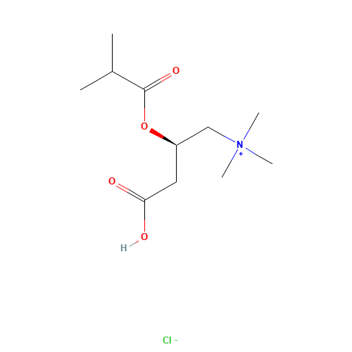 Isobutyryl L-Carnitine Chloride (CAS: 6920-31-6) - Related Chemical Product