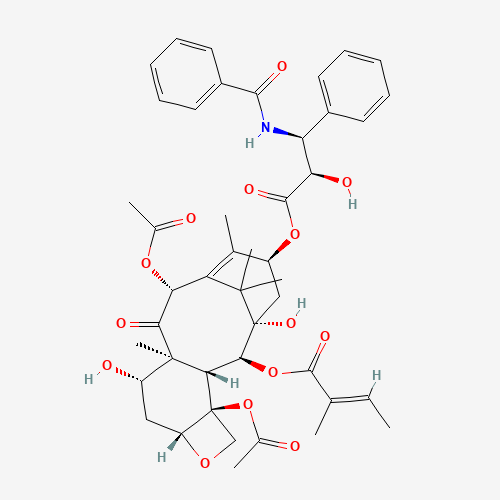 Iso Cephalomannine (CAS: 173101-54-7) - Related Chemical Product
