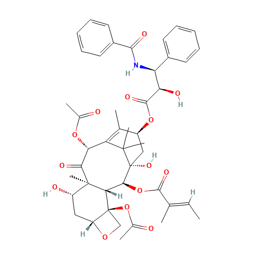 Iso Cephalomannine (CAS: 173101-54-7) - Related Chemical Product