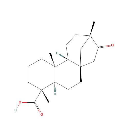 Isosteviol (CAS: 27975-19-5) - Related Chemical Product