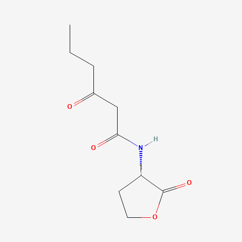 N-(Ketocaproyl)-L-homoserine Lactone (CAS: 143537-62-6) - Related Chemical Product