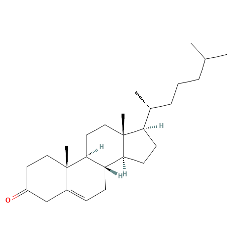 3-Keto Cholesterol (CAS: 601-54-7) - Related Chemical Product