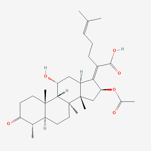 3-Keto Fusidic Acid (CAS: 4680-37-9) - Related Chemical Product