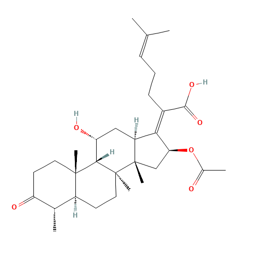 3-Keto Fusidic Acid (CAS: 4680-37-9) - Related Chemical Product