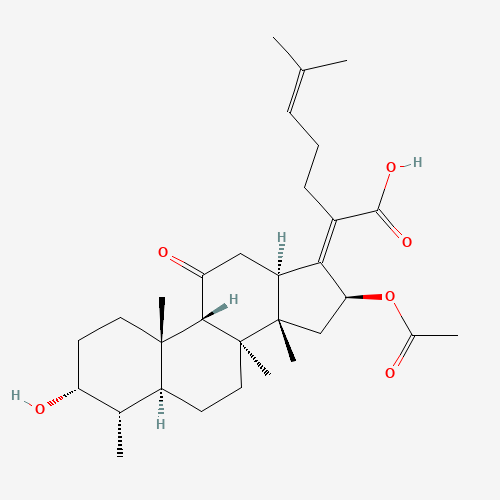 11-Keto Fusidic Acid (CAS: 16711-91-4) - Related Chemical Product
