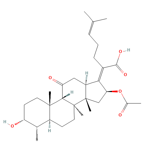 11-Keto Fusidic Acid (CAS: 16711-91-4) - Related Chemical Product