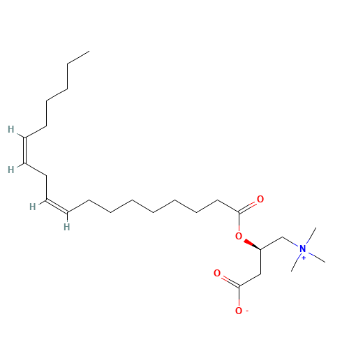 Linoleoyl Carnitine (CAS: 36816-10-1) - Related Chemical Product