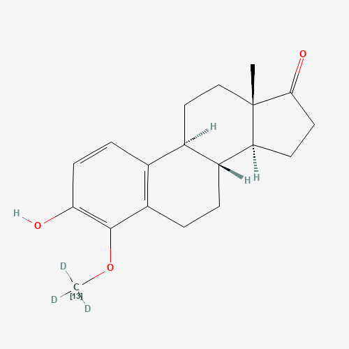 4-Methoxy Estrone-13C,d3 (CAS: 1217437-34-7) - Related Chemical Product