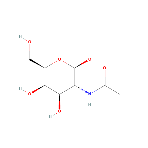 Methyl 2-Acetamido-2-deoxy-b-D-galactopyranoside (CAS: 22256-76-4) - Related Chemical Product