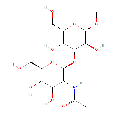 Methyl 3-O-(N-Acetyl-b-D-glucosaminyl)-b-D-galactopyranoside (CAS: 93253-17-9) - Related Chemical Product