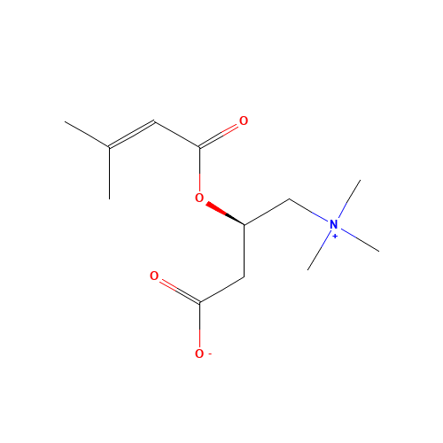 3-Methylcrotonyl L-Carnitine (CAS: 64656-41-3) - Related Chemical Product
