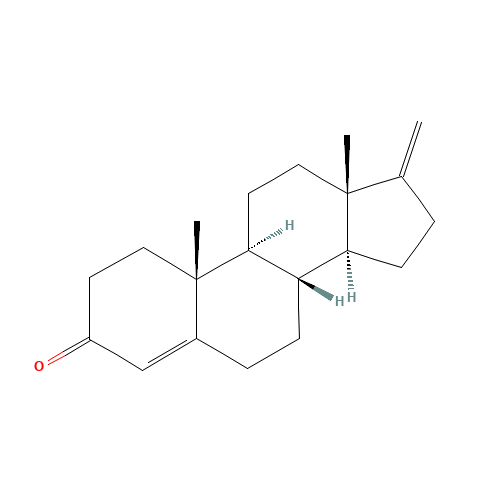 17-Methylene-4-androsten-3-one (CAS: 846-45-7) - Related Chemical Product