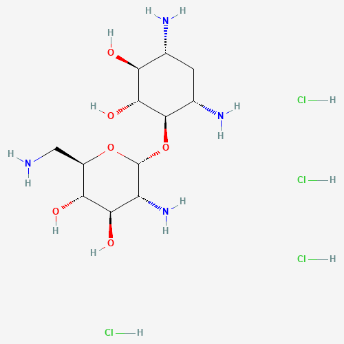 Neamine Hydrochloride (CAS: 15446-43-2) - Related Chemical Product